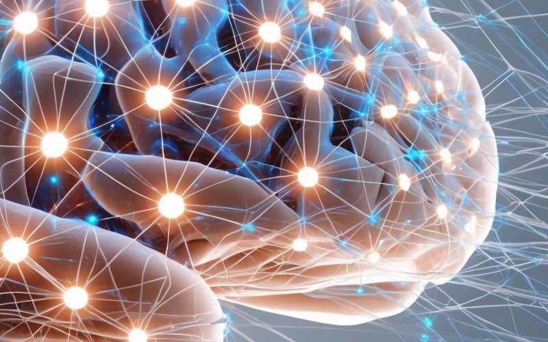 computer-circuit-motherboard-brain-shape-technology-artificial-intelligence-abstact-illustration (1)
